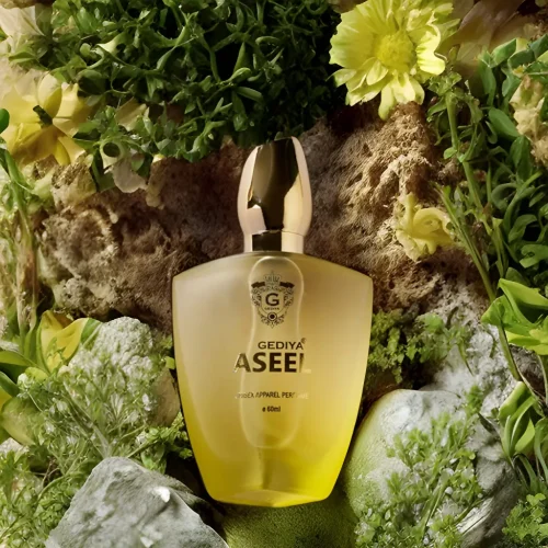 Gediya Aseel Perfume – 60 ml Eau De Perfume Spray with Sweet Amber and Floral Essence