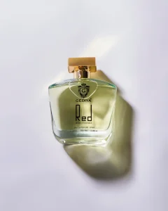 01 (12)